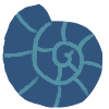 A blue spiral-shaped shell